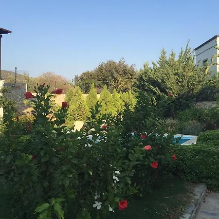 Garden Flat Διαμέρισμα Konacik